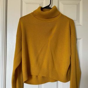Cropped turtleneck sweater